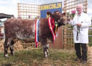Noel Dowd with Creaga Gipsy All Ireland Beef Shorthorn Cow 2014 & Beef Shorthorn Champion 2014