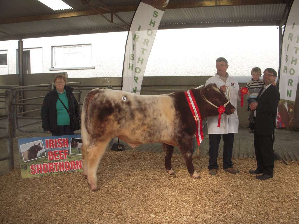 Lismacool Jethro Champion Male with breeder Padraig Flanagan and Judge James Pye and son William.
