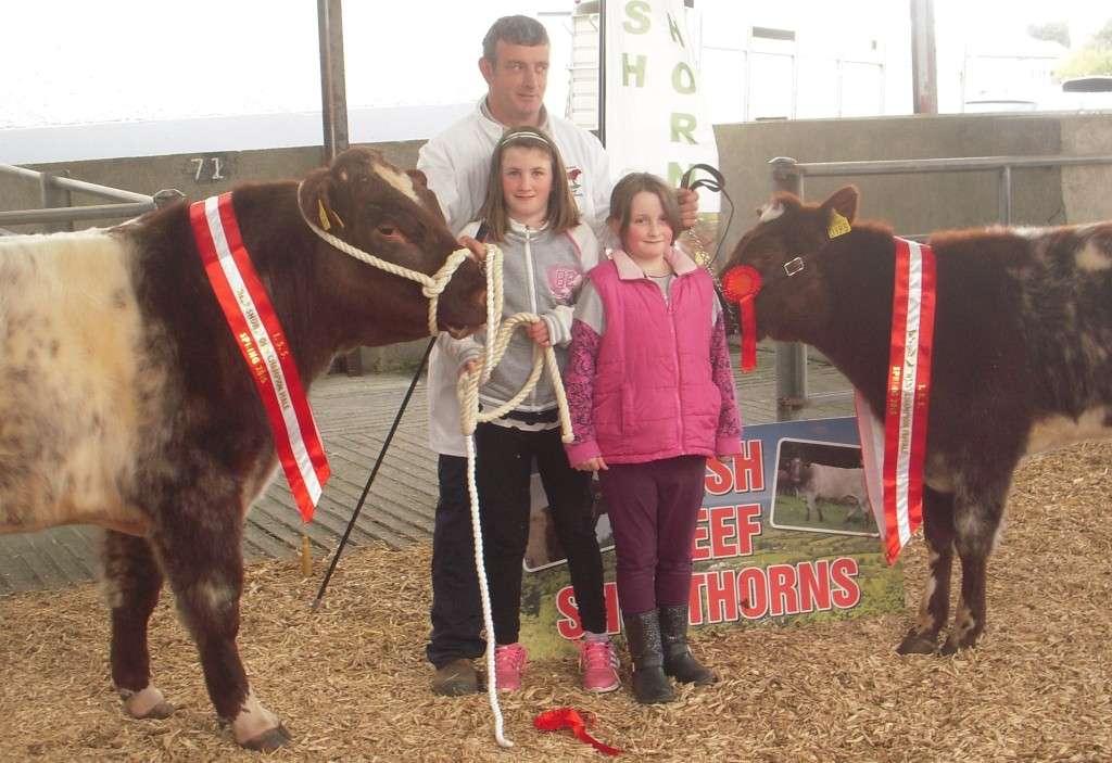 Flanagan Family pulled off the double with Male Champion Lismacool Jethro and Female Champion Lismacool Crystal. Padraig, Sinead & Katie Flanagan, Elphin, Co. Roscommon.