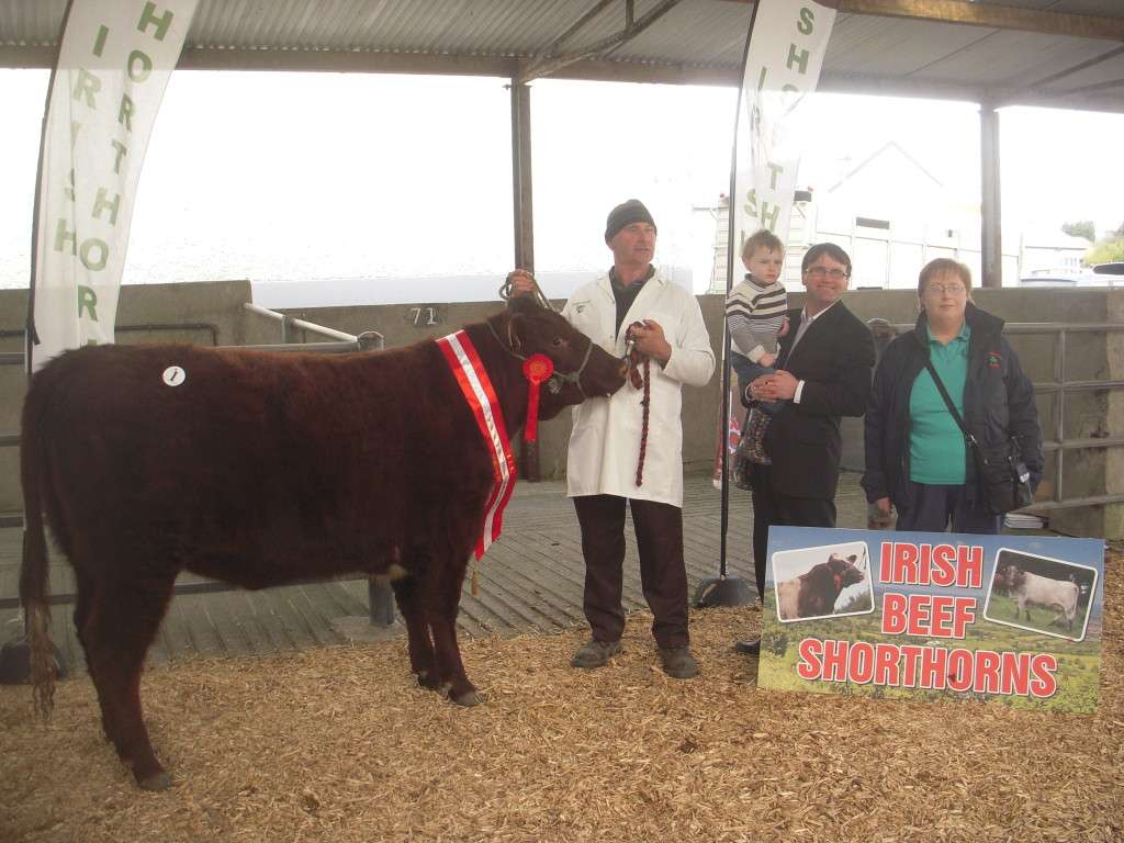 Reserve Champion Female Bethlehem Ruby with breeder Tom Fox, Judge James Pye and son William and Mary Purcell.