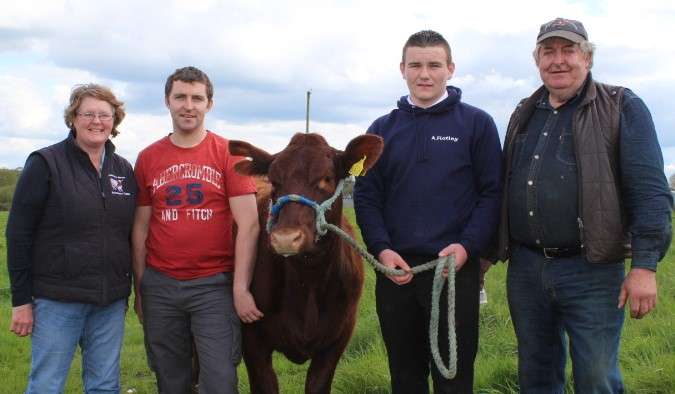 Patrick & Noel Brady (Host Farmer) with Denise Bailey and Adrian Flatley with the finished article