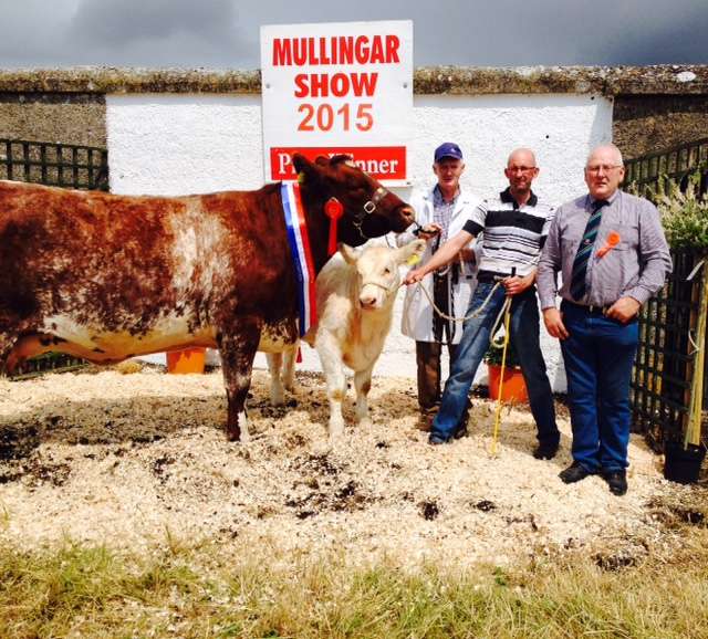 Beef Shorthorn Champion  Mullingar Show 2015 Creaga Gipsy with Judge Andy O'Donoghue