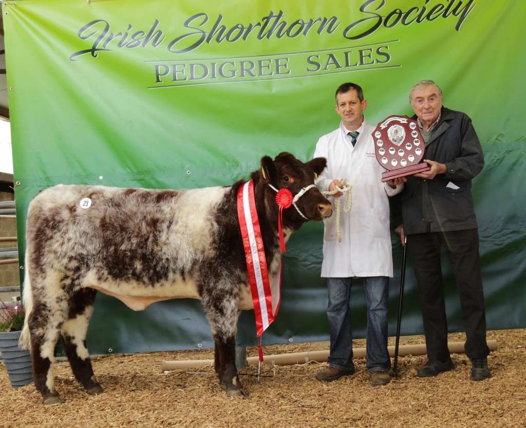 Premier Sale 2017 Champion Female Rockville Anna 385 with Kieran McAllister presenting the McAllister Family Shield to Anthony Dockery.