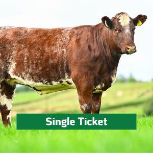 Raffle Ticket x1