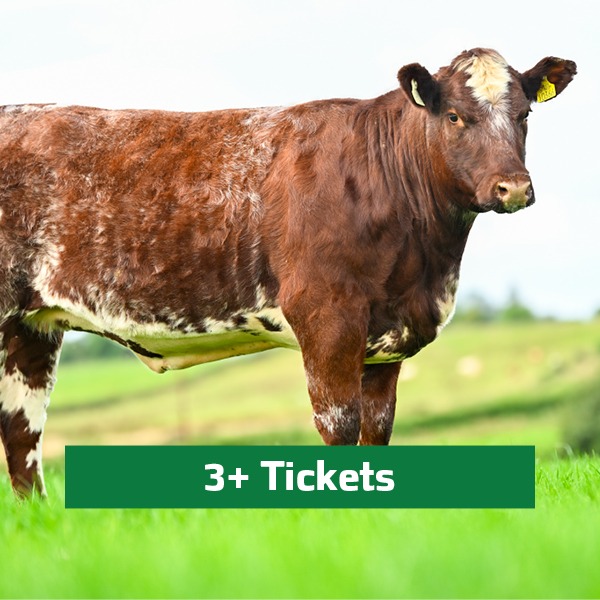 Raffle Ticket x3+